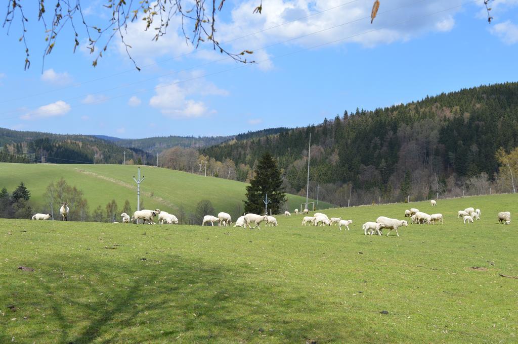 Chata Nova Seninka Staré Město المظهر الخارجي الصورة